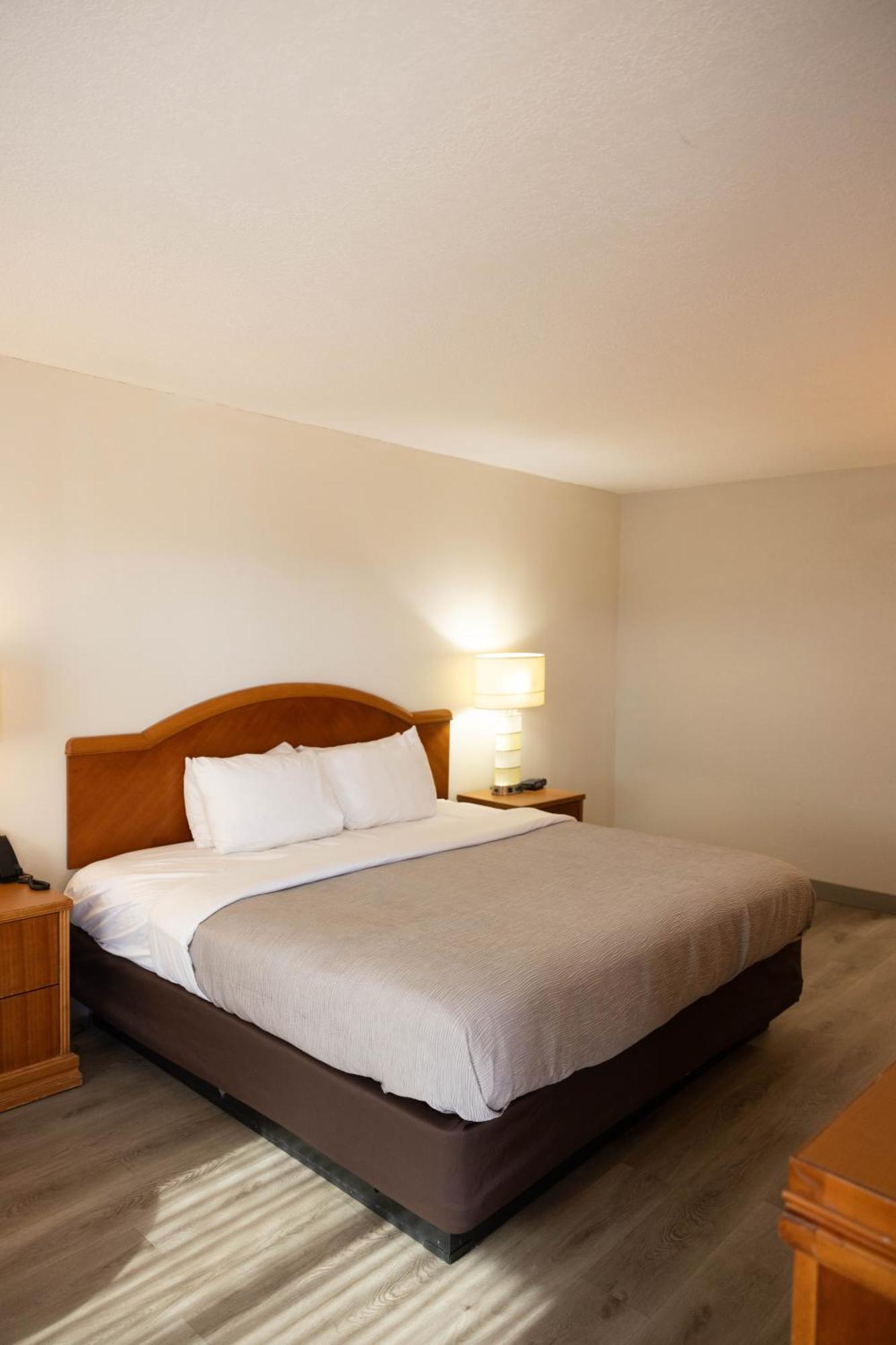 Quality Inn & Suites Lake Havasu City Exterior foto